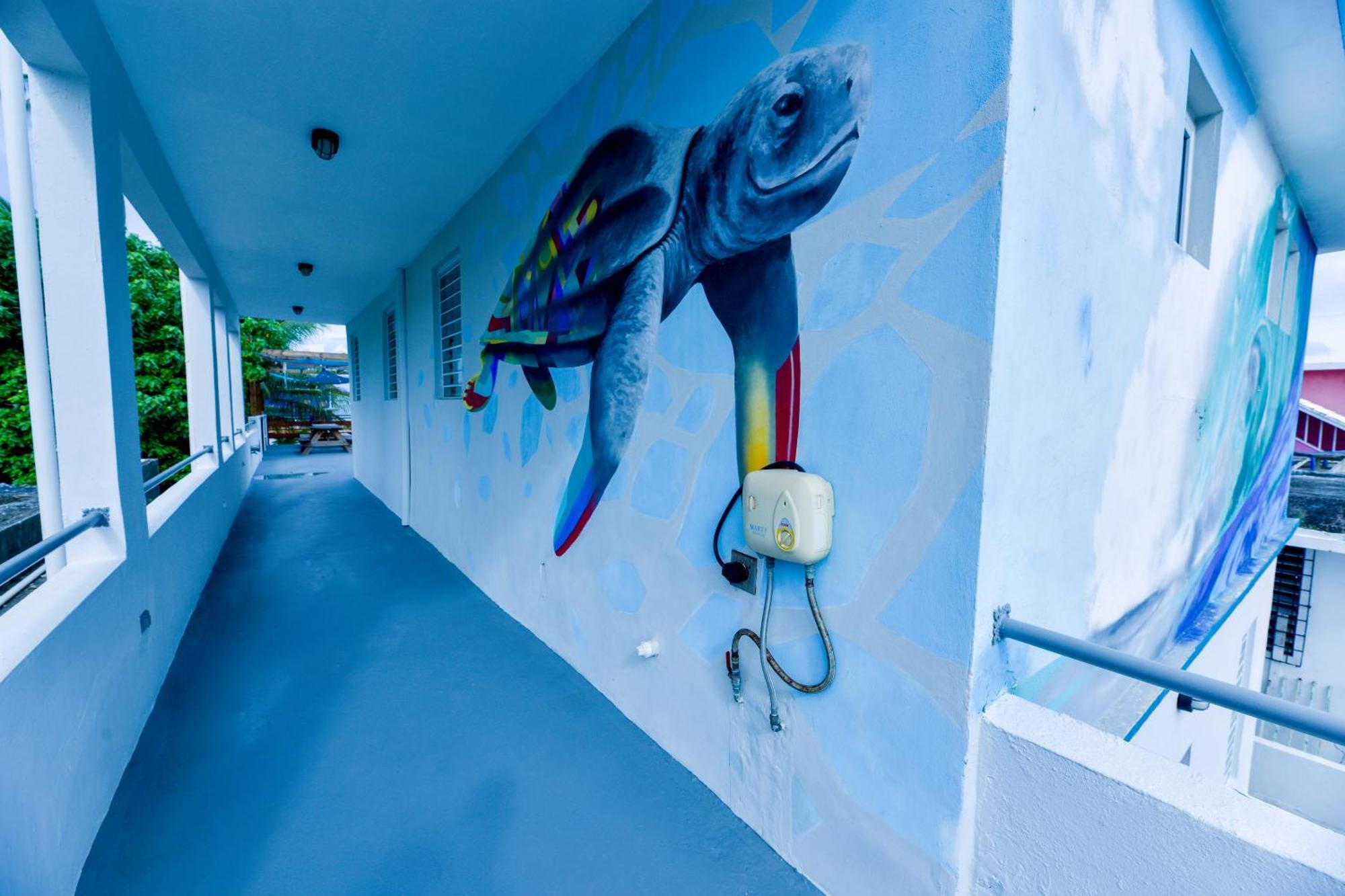 The Surfing Turtle Hotel Luquillo Exterior foto